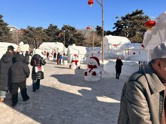 -长春市南湖公园