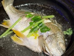 -陈鹏鹏潮汕菜(欢乐海岸 海边景观店)