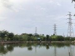 -会江钓鱼钓虾烧烤场