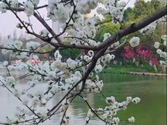 -圩墩遗址公园