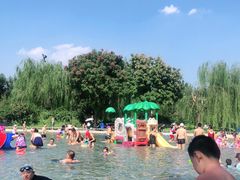 -柳浪游泳场