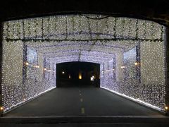 -浙江安吉JW万豪酒店·万豪中餐厅