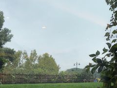 -潮府馆·非遗潮州菜·港式点心(世纪公园店)