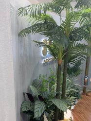 -八佰伴8008星级形象店