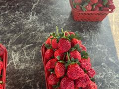 -随缘小馆(红岭路店)