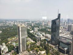 -紫峰大厦