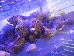 -小天鹅戴斯酒店鲸鲨百汇创作料理