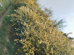 -南翠屏公园