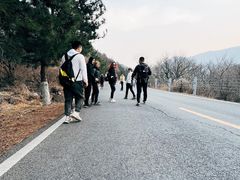 -北京鹫峰国家森林公园