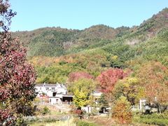 -塔川景区