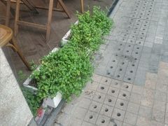 -RiceZone乐食尊纯米面包坊(望京店)