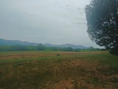 -秦始皇帝陵博物院-丽山园