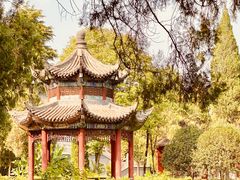 -洛阳白马寺