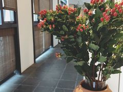 -瓦库茶馆17号(海汇港店)