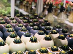 -KKV(深圳宏发大仟里店)