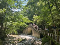 -牛背梁国家森林公园