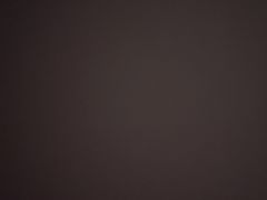 -老赵面店(大西路店)