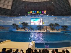 -泉城欧乐堡海洋极地世界