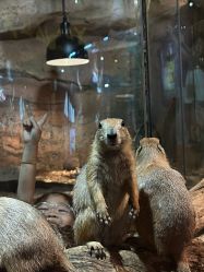 -Zoolung Zoolung动物主题公园(海信广场店)