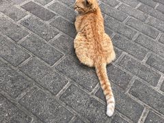 -苏州河梦清园环保主题公园