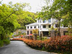 -西湖风景区-江洋畈生态公园