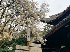 -龙华寺