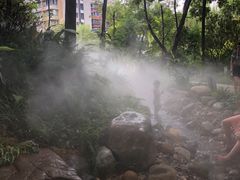 -成都市活水公园