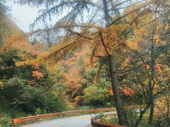 -神农架景区