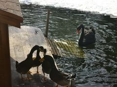 -近春园遗址