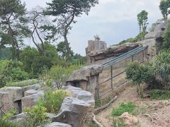 -宁波野生动物园
