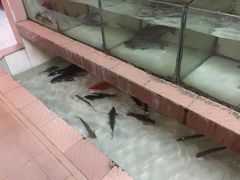 -荣兴河鲜楼(江口店)