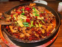 -老板恋上鱼(荣盛广场店)