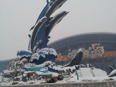 -泉城欧乐堡海洋极地世界