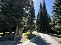 -新疆那拉提国家旅游度假区