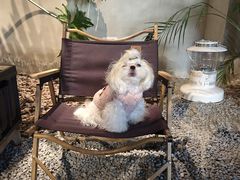 -J Create城市露营咖啡·简餐·宠物(上海动物园店)