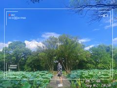 -西溪国家湿地公园