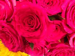 -凯德广场(西城店)