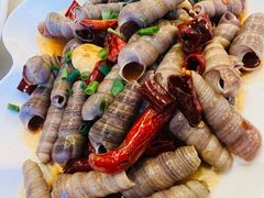辣炒丁螺-华盛丰温州大排档(东三环南路店)