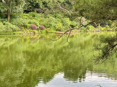 -深圳仙湖植物园