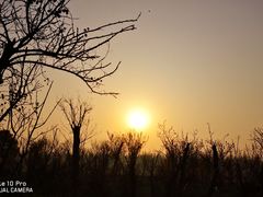 -崇明东平国家森林公园烧烤房车露营地