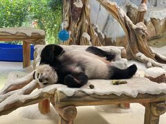 -南京汤山紫清湖生态旅游温泉度假区