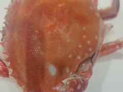 -渔码头食府·20年蓬莱老字号(登州路店)