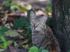 -苏州河梦清园环保主题公园