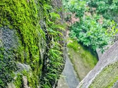 -云洞岩风景区
