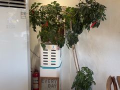 -像素研食The pixlab (皮市街店)