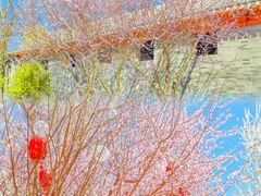 -三里河公园