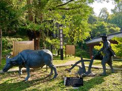 -广州神农草堂中医药博物馆