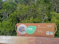 -东寨港红树林旅游区