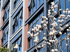 -上海浦东由由信福养老院