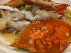 -新天明砂锅鱼头煲